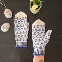 Last inn bildet i Galleri-visningsprogrammet, April votter